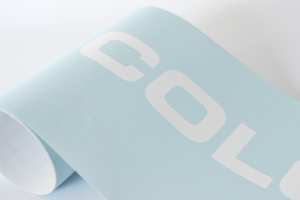 
Vinilo adhesivo de corte de Rotulpro decorando escaparate con diseño personalizado.
